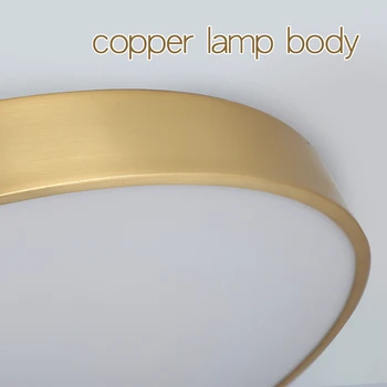 Enkel LED Loft Lampe Dekorative LED Loft Lamper til stuen, Soveværelset Interiør Belysning Guld Dæmpbar Loft Lys