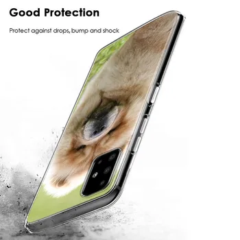 Søde Chow Chow dog Silikone Cover Til Samsung Galaxy S21 S20 FE Ultra S10 S10E Lite S9 S7 S8 Plus Telefon Sag