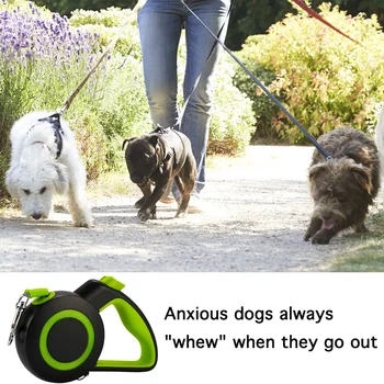Udtrækkelig hundesnor Hvalp Lysende Automatisk Fleksibel Trækkraft Pet Bælter Reb Føre til Små og Mellemstore Hunde Kæledyr