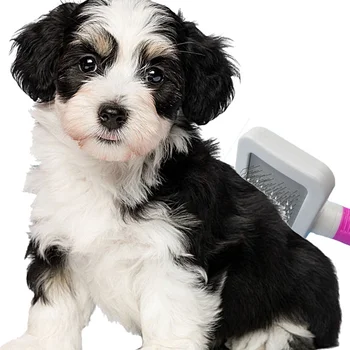 2 stk/Sæt Hund hårfjerning Nål Kamme Pels Børste Grooming Stor Størrelse Kamme Af Slik Farve, Non-slip Kæledyr Leverandør