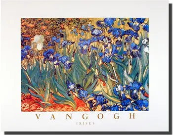 Wall Decor Poster Iris Blomst Haven (Blomstret) Vincent Van Gogh Fine Art Print Billede