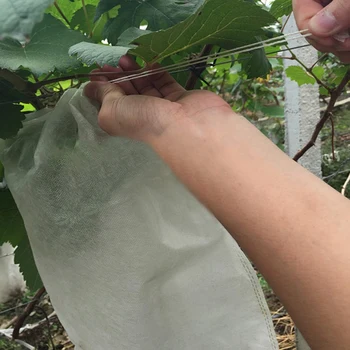 100Pcs Drue Beskyttelse Tasker for Frugt, Grøntsager Druer Mesh Taske Mod Vandtæt Insekt Sætteplante Sække