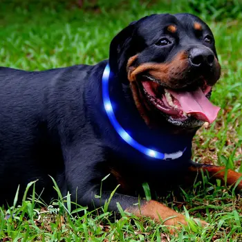 USB-Genopladelige LED hundehalsbånd Lys Nat Hund Kraver Glødende Lysende Vandtæt Krave Nat Anti-Tabte Pet Sikkerhed Glød