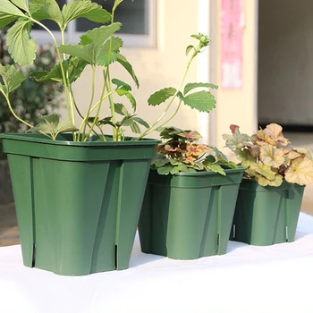 Pladsen Plast Grøn Farve Urtepotter Have Kreative for Kinesiske Steg Planter, Vegetabilske Hjem Kontor Indretning Børnehaven Have Værktøjer