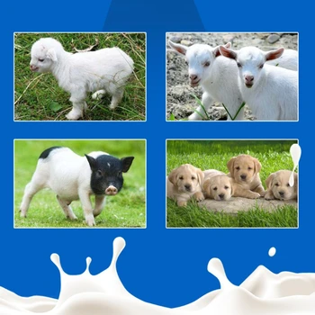 Lam Mælk-Arkføderen Flaske med Stor Kapacitet Mælk Spand med Brystvorter Kalv, Ged Mælk-Arkføderen Flaske til Farm Lam Smågrise Hunde