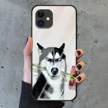 Siberian Husky Hund Cool Søde Telefon Hærdet Glas Tilfælde Dække For IPhone 6 6S 7 8 11 12 X Xr Xs Se 2020 Pro Max Plus Mini Mode