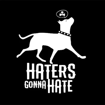 16*13.3 cm Haters Gonna Hate med Pitbull Mærkat Vinyl Sjove Personlighed Klistermærker Bil Mærkat Bil Tilbehør