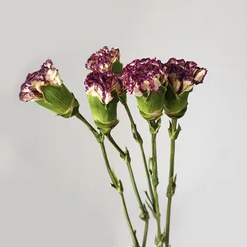 Naturlige Tørrede Blomster Nellike Ins Nordiske Flores Seca Hjem Club Dekoration Dia De La Madre Eksklusive Fleur Mors Dag Gave
