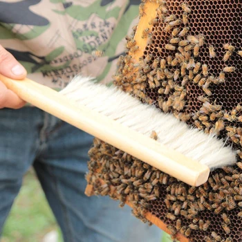 Have Værktøjer Træ Wasp Feje, Børste Af God Kvalitet Biavl Værktøjer To Rækker Af Blød Svinebørster Nye Biavl Børste Udstyr