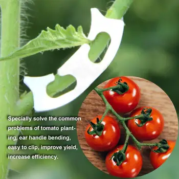 50stk Plante Fastsættelse Klip Grøntsager Tomat Undgå at Bøje Støtte Klemme Frugt Blomst Plante Sætteplante Styrkelse Klip Haven