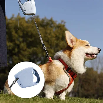 5 Meter Hunde Automatisk Snor Fører Pet Udtrækkelig LED Lys Offentlig Gå Trækkraft Reb Mellemstore og Store Hunde Nylon Snor