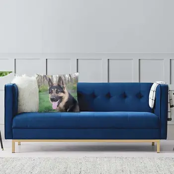 Schæferhund pudebetræk Sofa Dekoration Sjove Pet Malinois-Pladsen pudebetræk 40x40